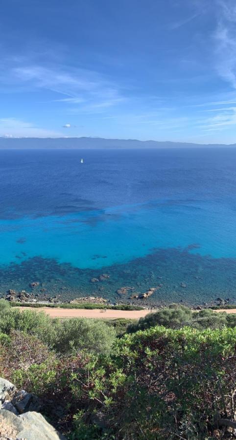 Magnifique Appartement Vue Mer, Spacieux Et Traversant Ajaccio  Exterior foto